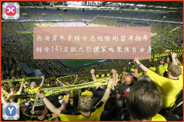 西海岸冬季转会总结徐彬留洋杨希转会143万欧元引援策略聚焦自由身球员