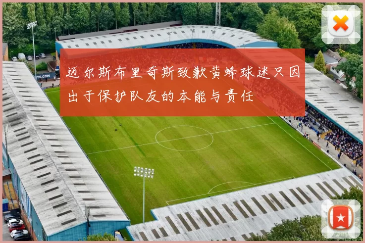 迈尔斯布里奇斯致歉黄蜂球迷只因出于保护队友的本能与责任